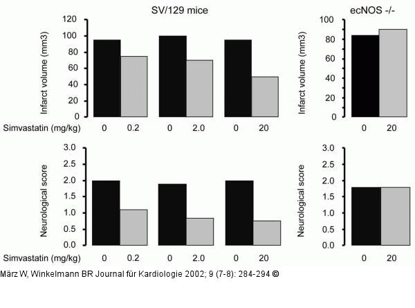Simvastatin - Schlaganfall