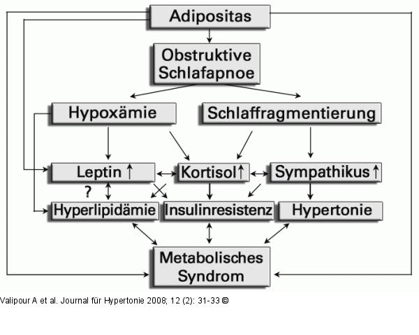 Metabolisches Syndrom