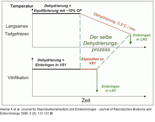 Tiefgefrieren  - Vitrifikation