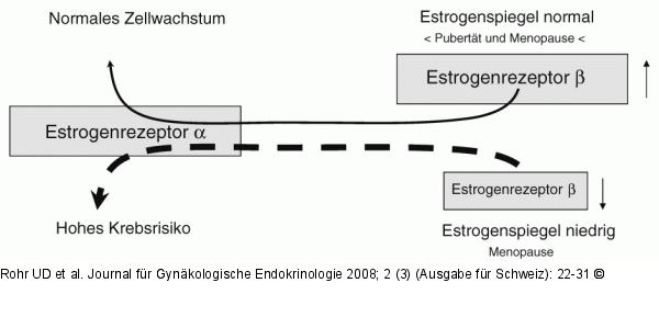 Estrogenrezeptor