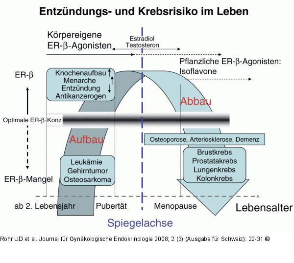 Alter - Organe