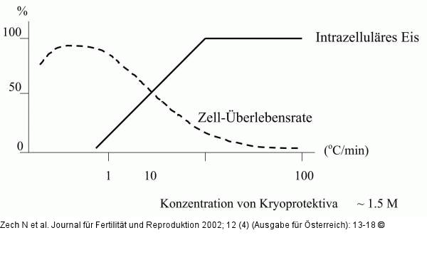 Zelle - Eiskristallbildung
