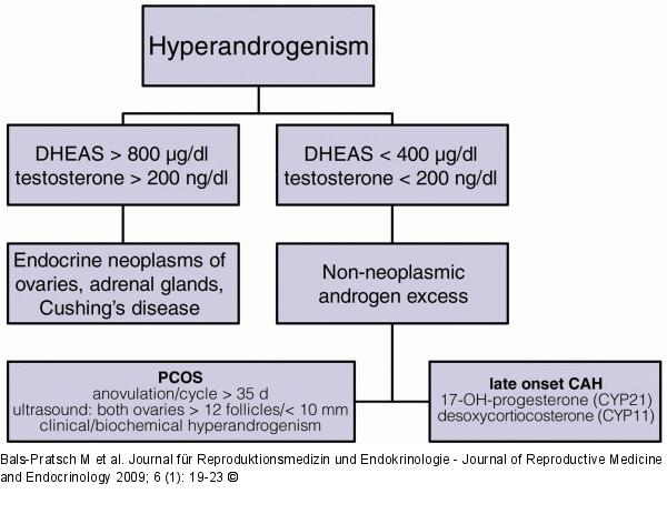 Hyperandrogenism
