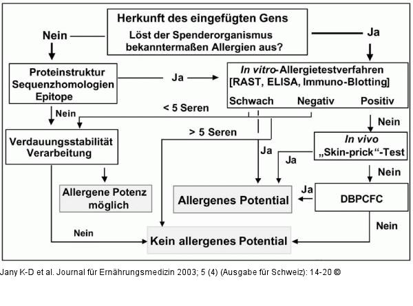WHO/FAO - Entscheidungsbaum - Allergenes Risiko
