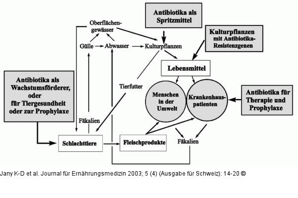 Resistenzgene - Verbreitungswege