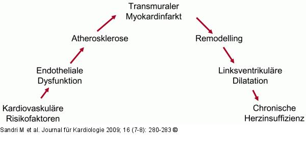 Kardiovaskuläres Kontinuum