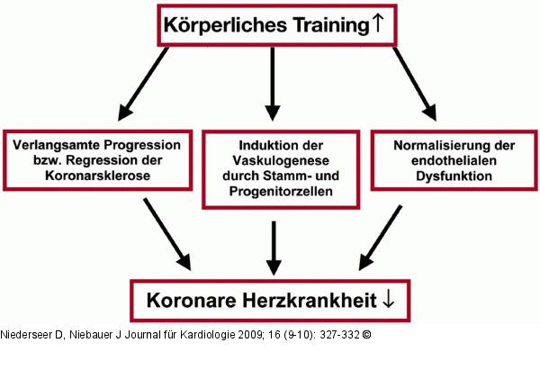 Körperliches Training