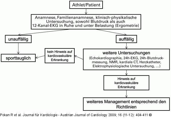 Internistischer Untersuchungsgang - Sportmedizin