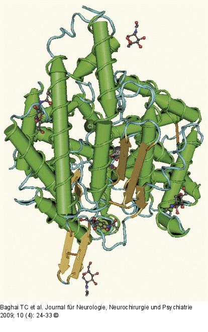 Angiotensin-Converting-Enzym