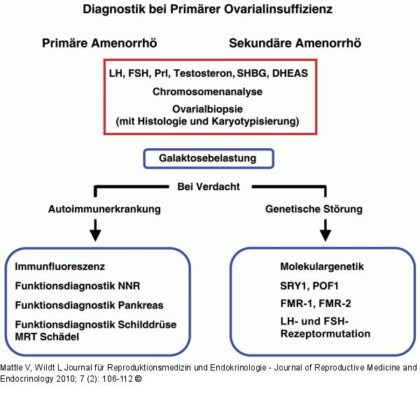 Primäre Ovarialinsuffizienz