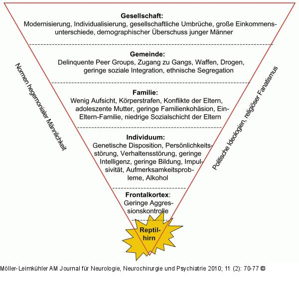 Männliche Aggression