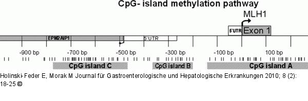 CpG-Island methylator pathway