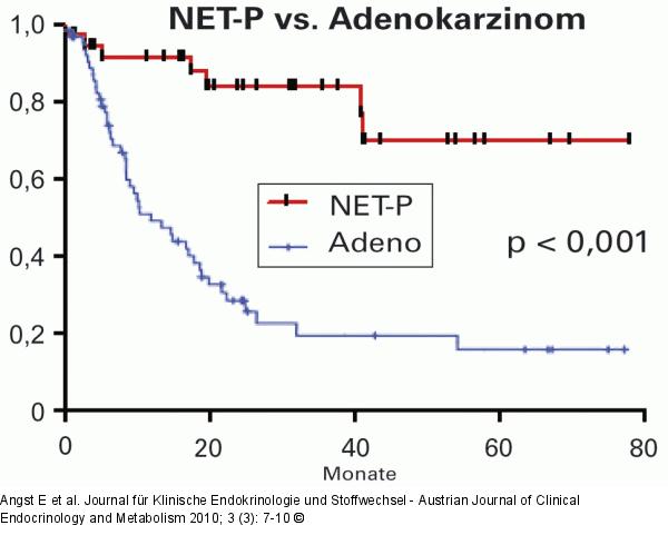 Neuroendokrines Karzinom