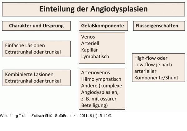 Einteilung Angiodysplasien