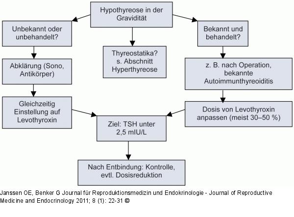 Hypothyreose - Schwangerschaft