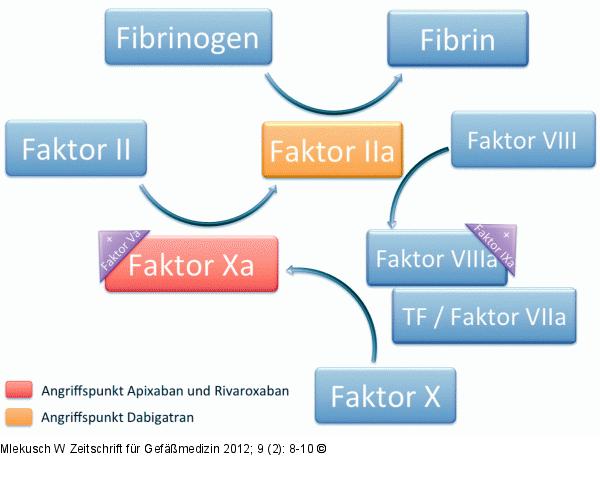Neue Antithrombotika