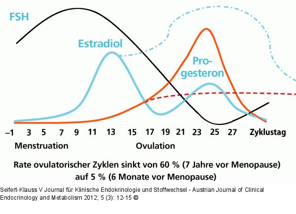 Zyklus- Hormonveränderung