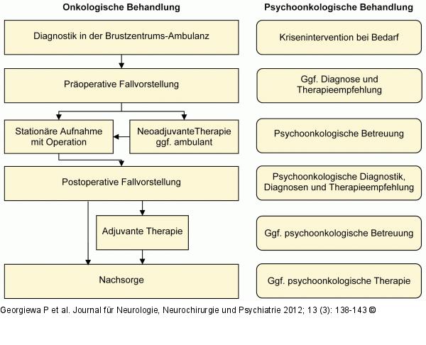 Behandlungsmodell Charité