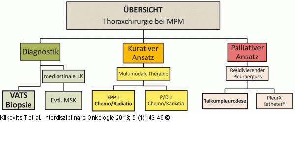 Thoraxchirurgie