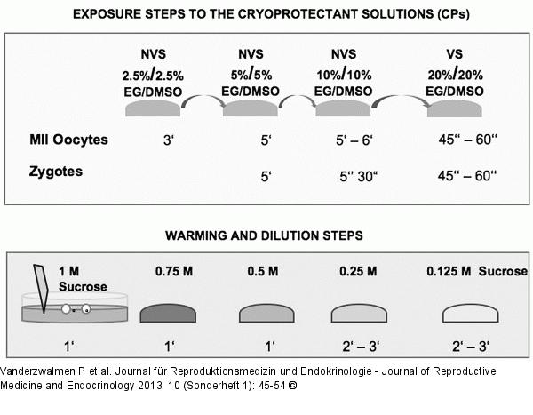 Exposure Steps CPs