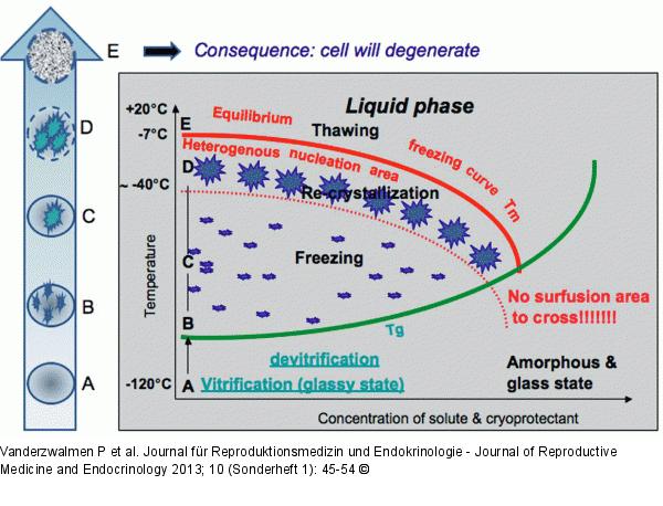 Warming process