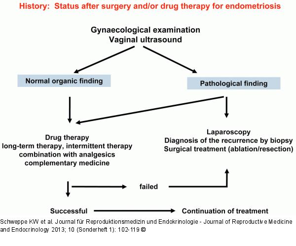 General principle of therapy for recurrent endometriosis