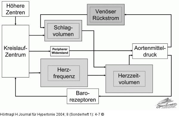 Kreislauf - Arbeit