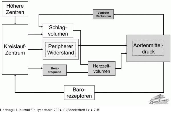 Kreislauf - Arbeit