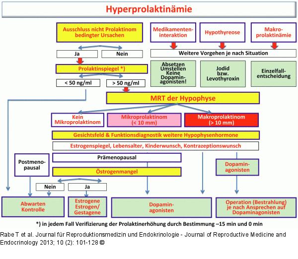 Hyperprolaktinämie - Prolaktinom