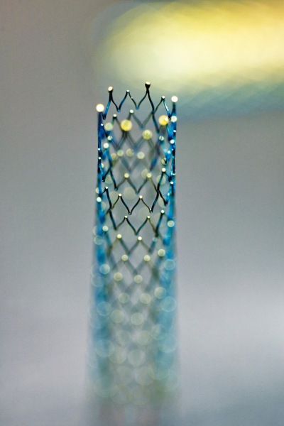 Produkt: Biotronik Astron-Pulsar-Stent<br>Vertrieb: Biotronik Vertriebs-GmbH