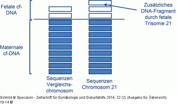 Aneuploidie-Screening