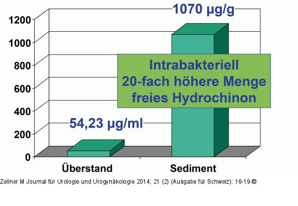 Phytotherapie-Harnwegsinfektion