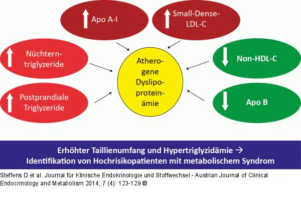 Dyslipoproteinämie