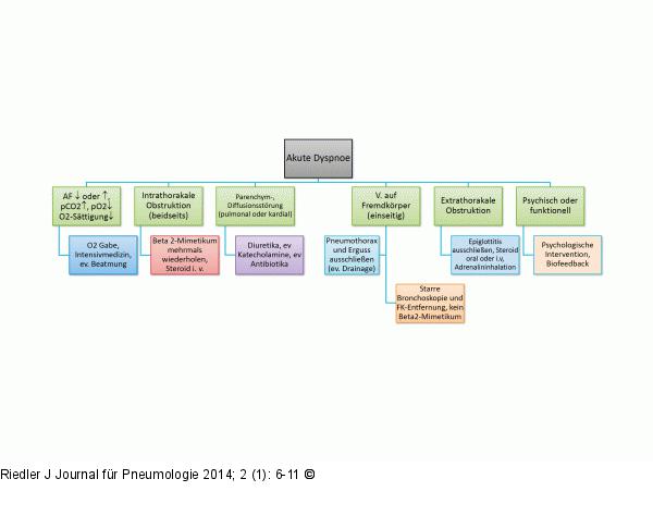 Dyspnoe - Management