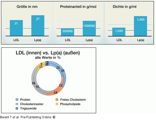 LDL - Lp(a)