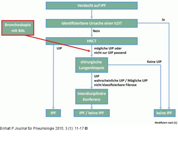 Idiopathische pulmonale Fibrose