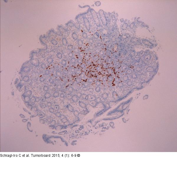 Immunhistologie