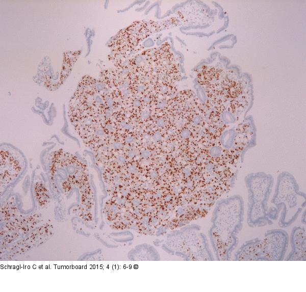 Immunhistologie