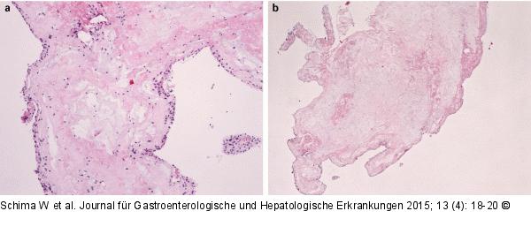 Histologie