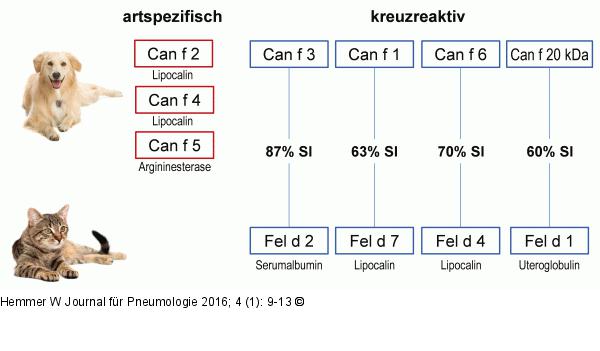 Hunde- und Katzenallergene