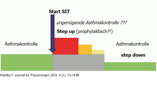 Asthmakontrolle-Immuntherapie