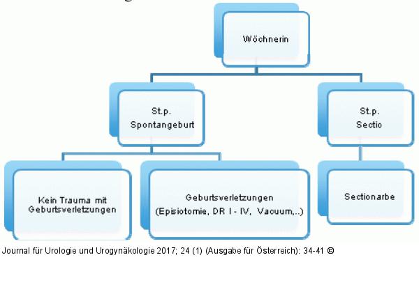 Beurteilung Wöchnerin