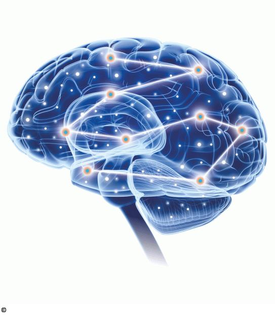 Brain. ©Novartis Pharma GmbH