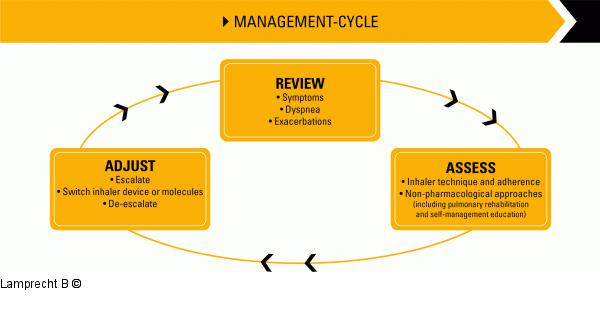 Managementzyklus