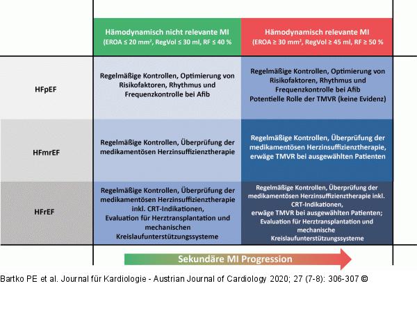 Sekundäre Mitralinsuffizienz