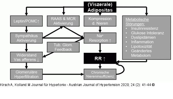 Pathogenetische Mechanismen