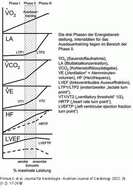Phasenkonzept