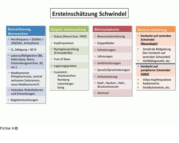 Ersteinschätzung Schwindel
