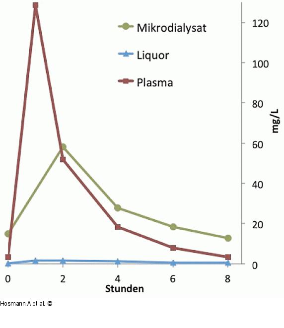 Zerebrale Pharmakokinetik