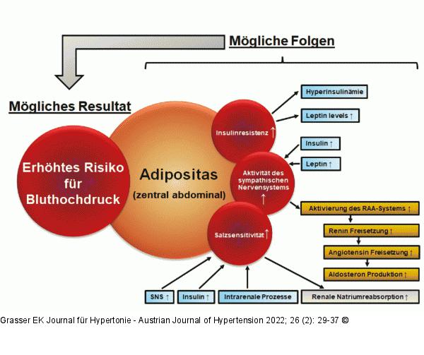 Adipositas - Risiko für Bluthochdruck